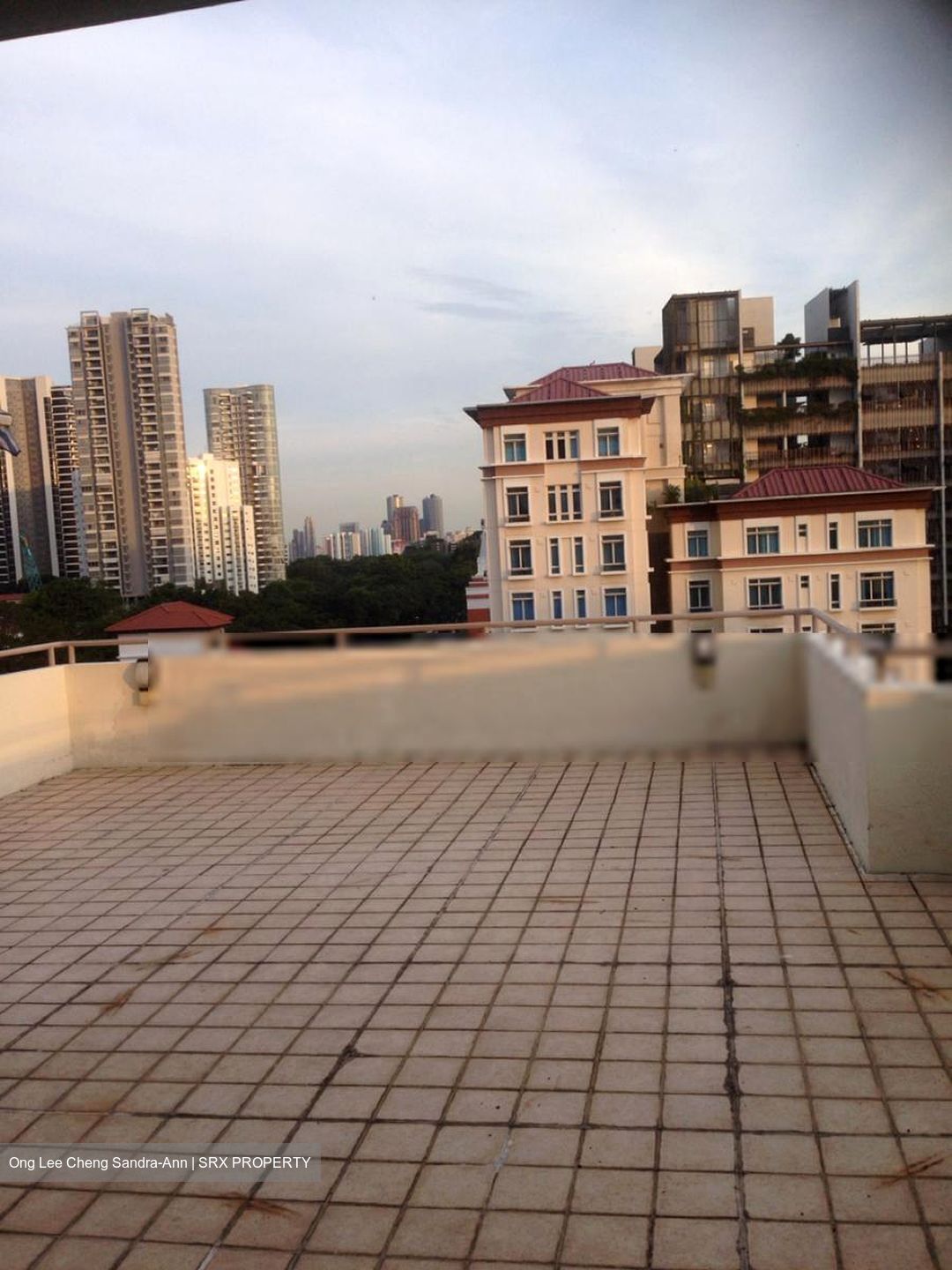 Balmoral Place (D10), Apartment #482304381